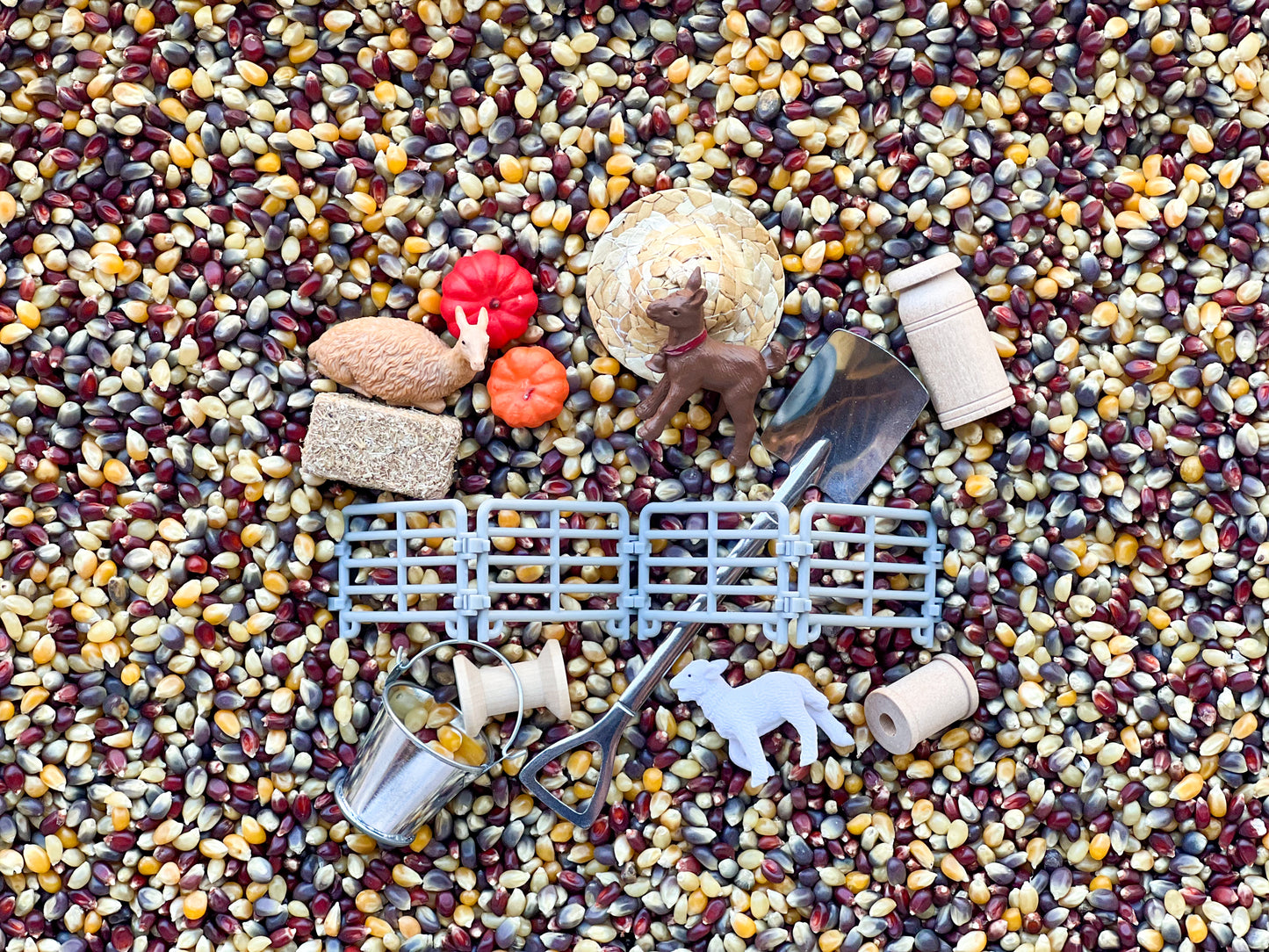Farm Friends Sensory Kit
